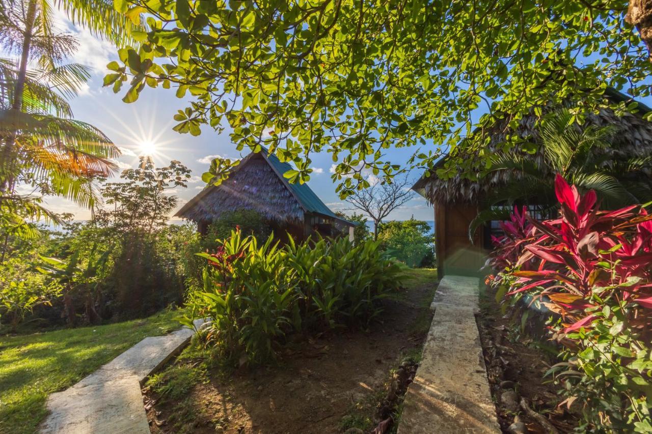 Punta Marenco Lodge Drake Bay Bagian luar foto
