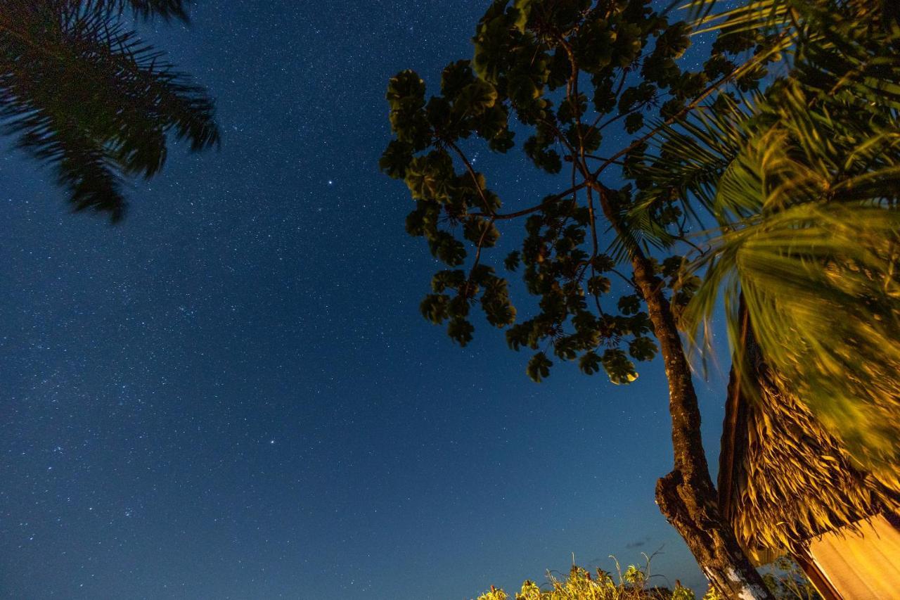 Punta Marenco Lodge Drake Bay Bagian luar foto