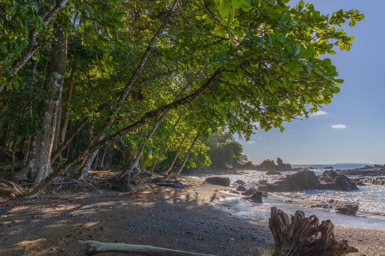 Punta Marenco Lodge Drake Bay Bagian luar foto
