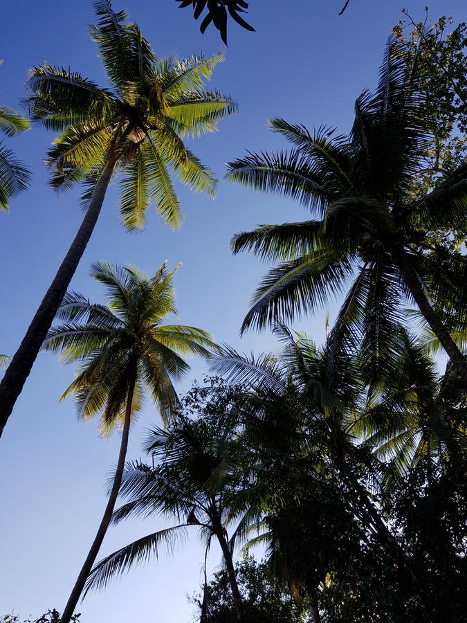Punta Marenco Lodge Drake Bay Bagian luar foto