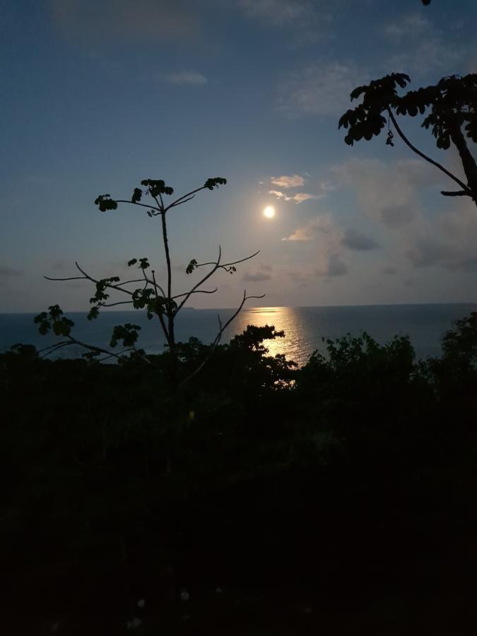 Punta Marenco Lodge Drake Bay Bagian luar foto